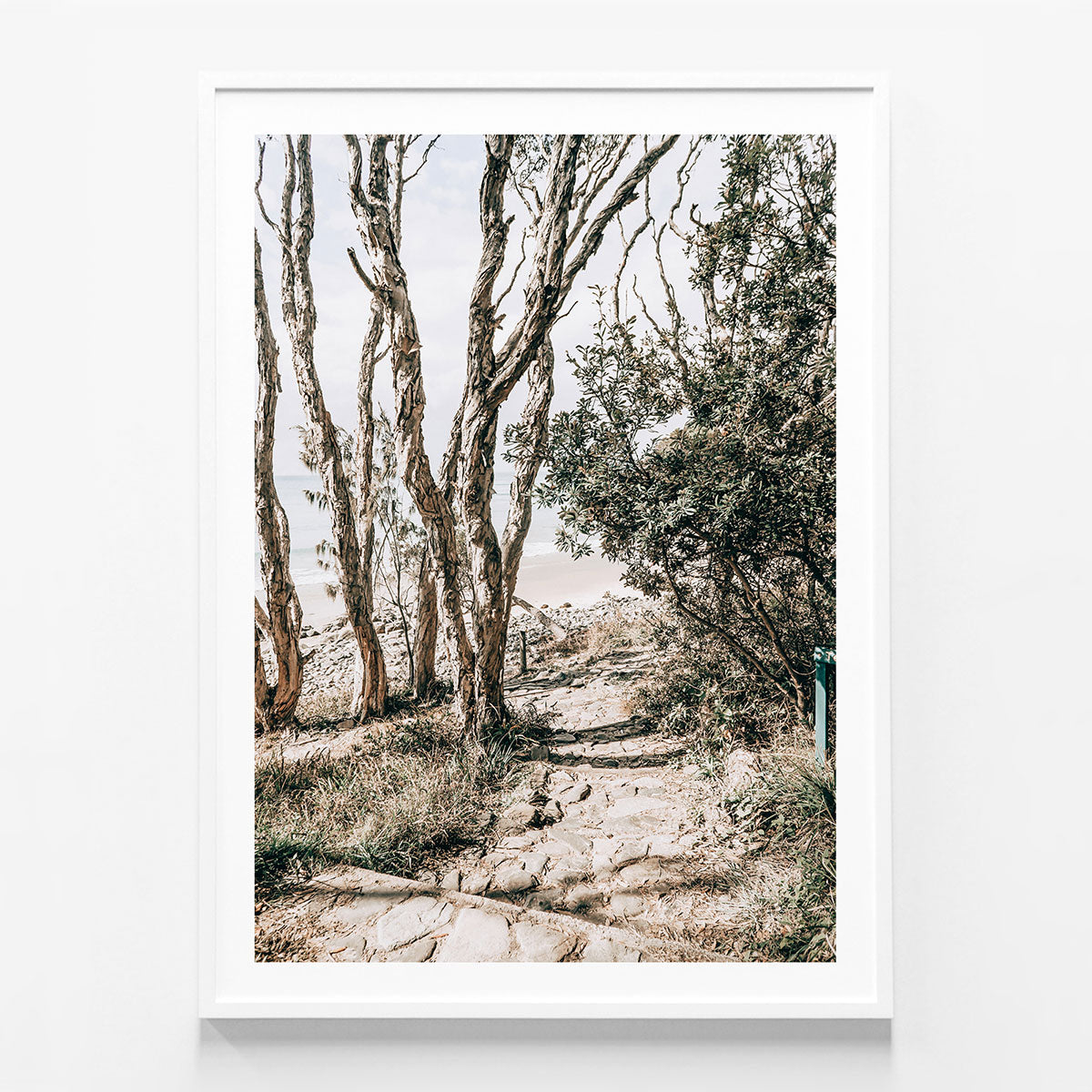 Tea Tree Bay Walk