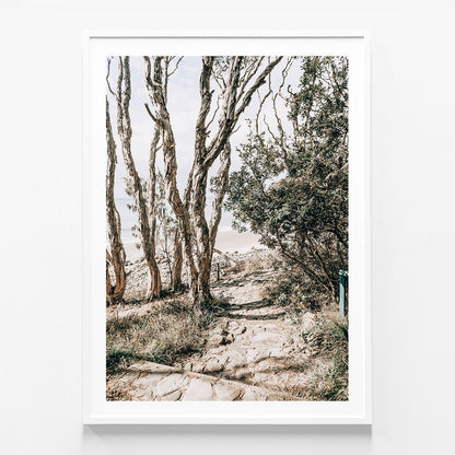 Tea Tree Bay Walk