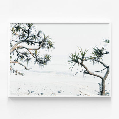 Tea Tree Bay