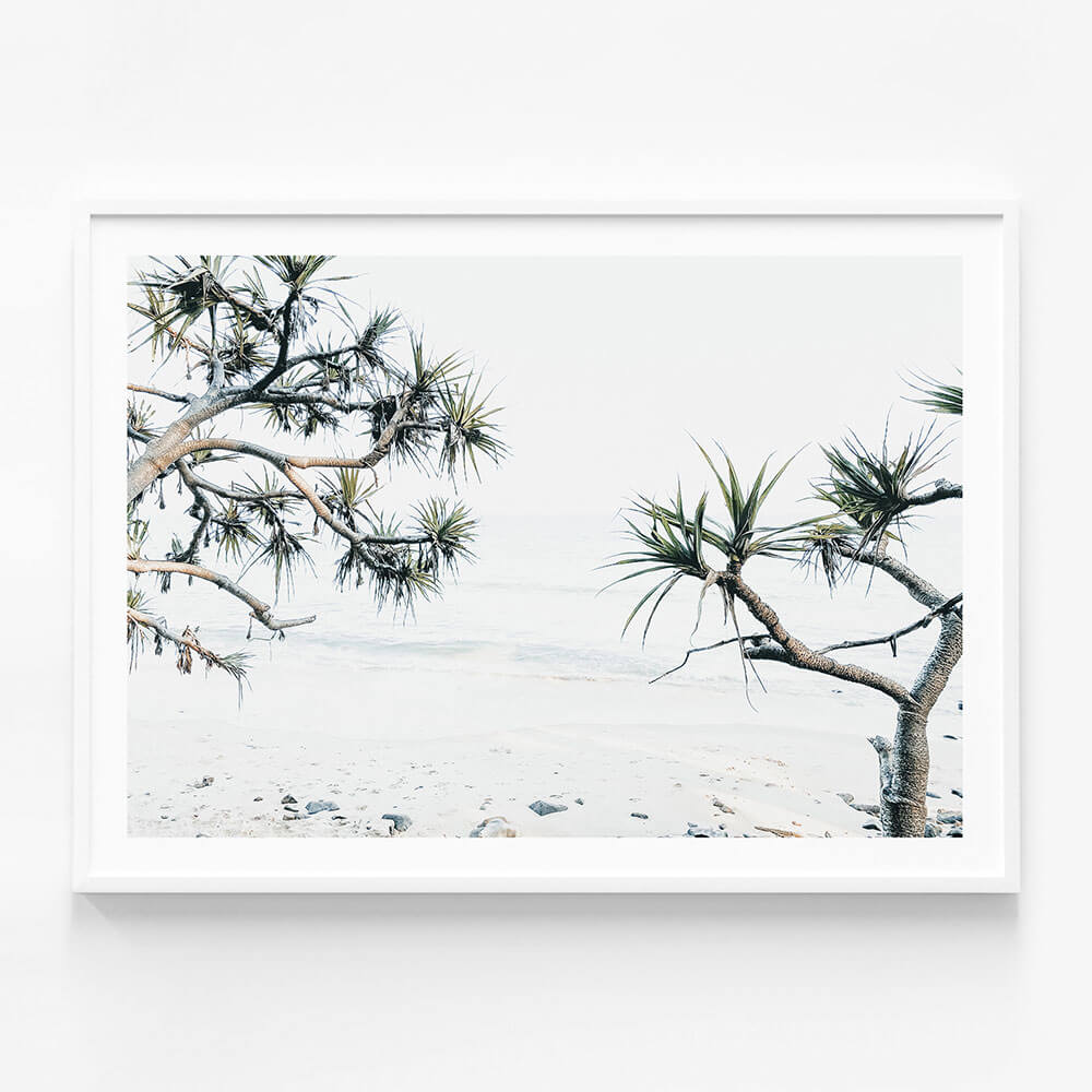 Tea Tree Bay
