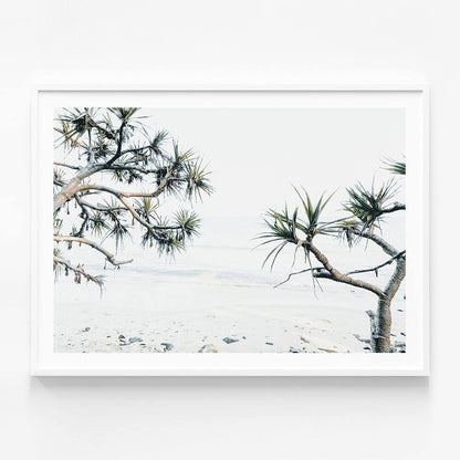 Tea Tree Bay