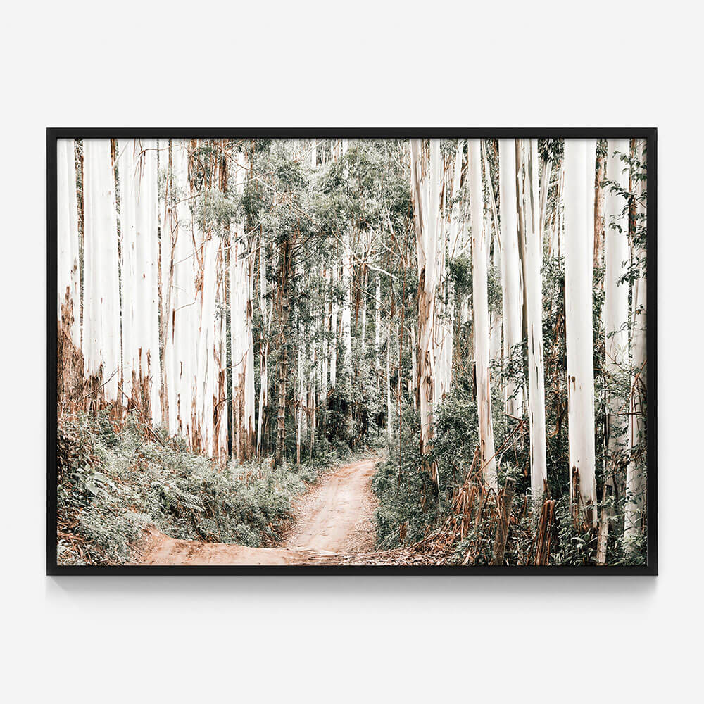 Through the Forest
