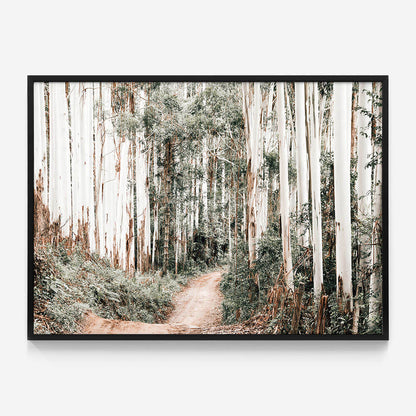 Through the Forest