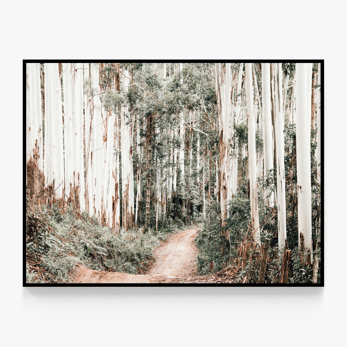 Through the Forest Canvas
