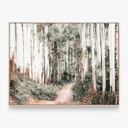 Through the Forest Canvas wall art with oak float frame