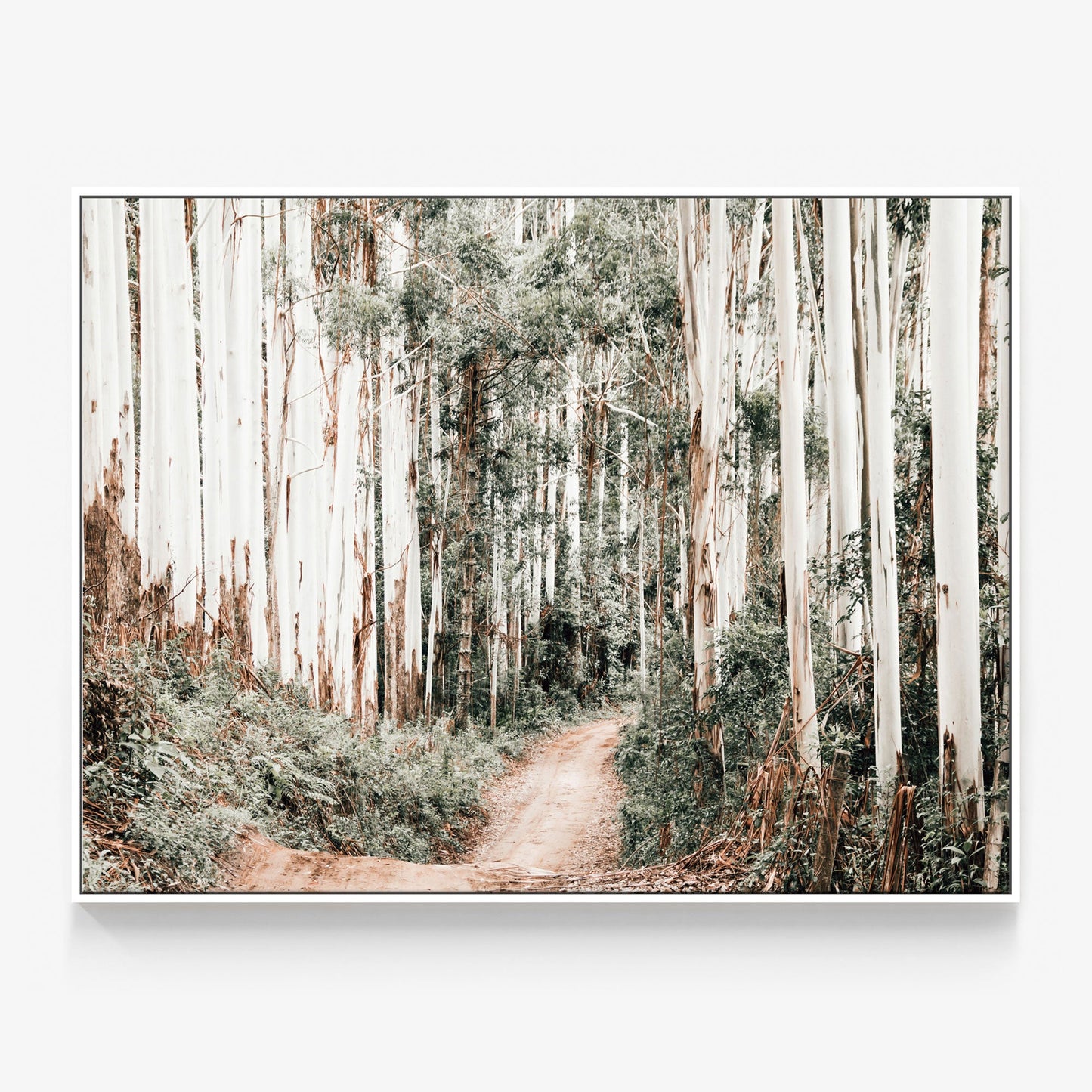 Through the Forest Canvas