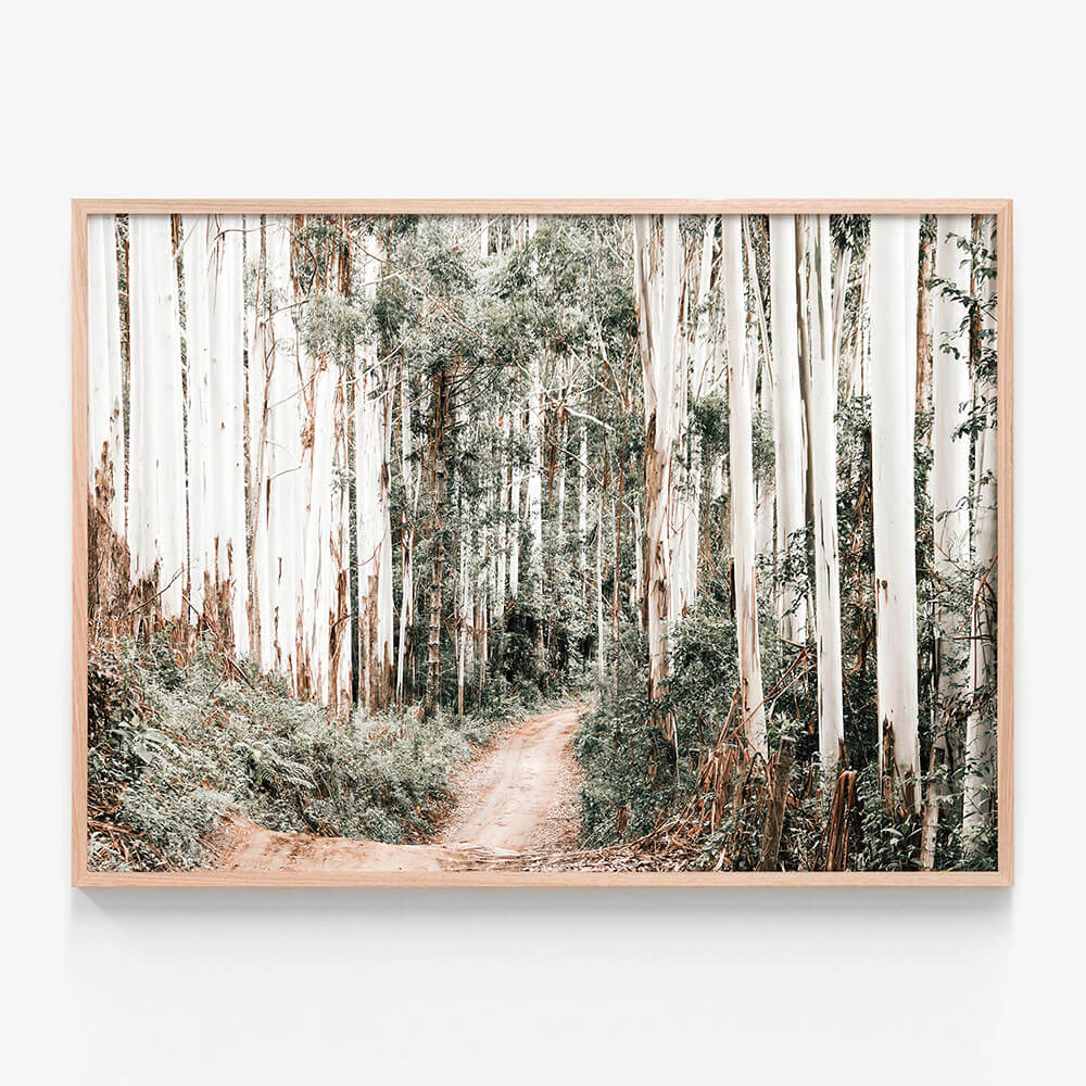 Through the Forest