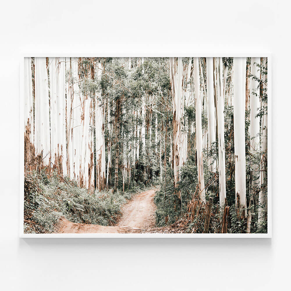 Through the Forest