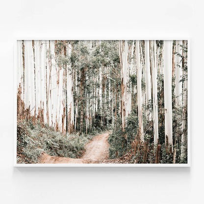 Through the Forest