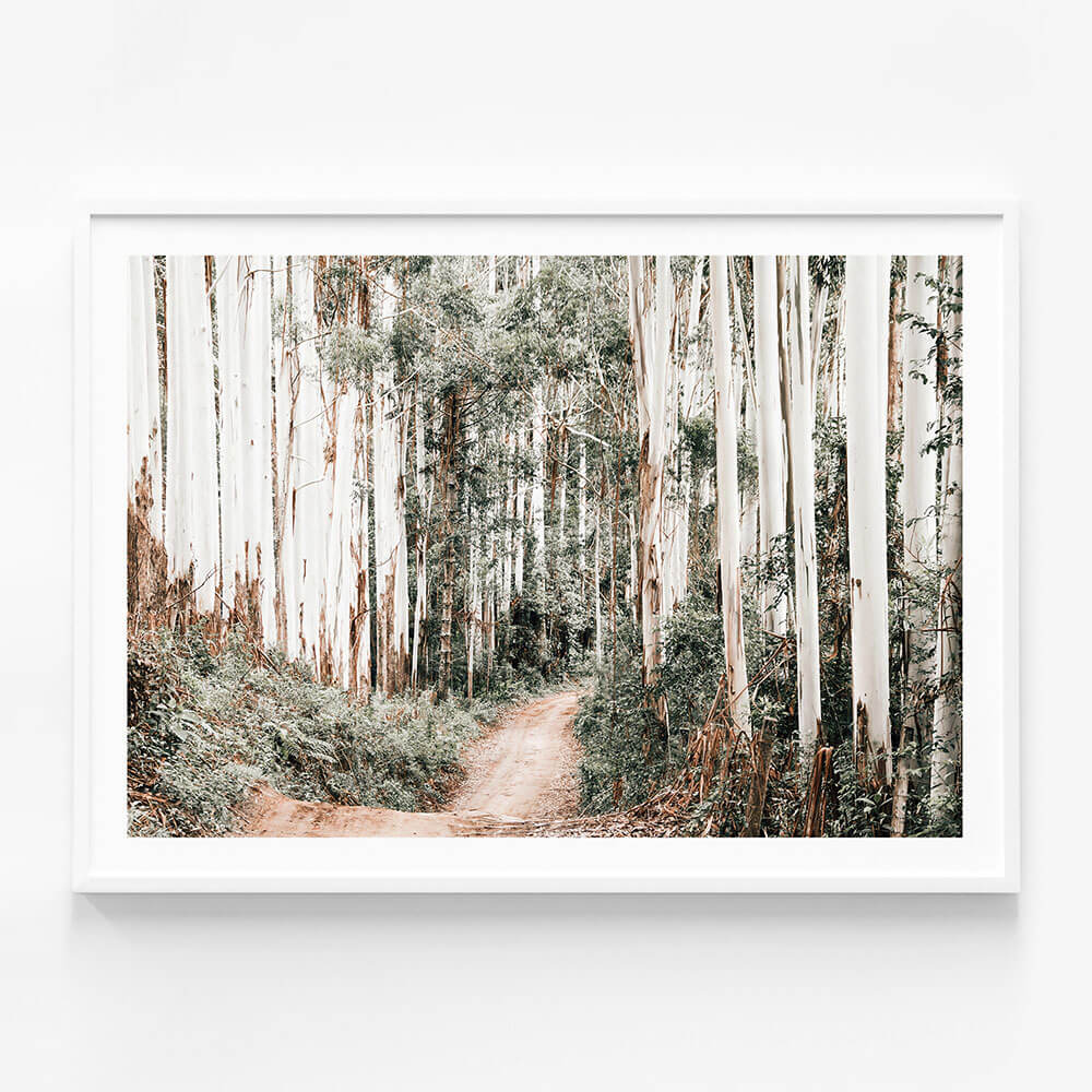 Through the Forest
