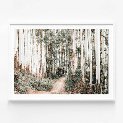 Through the Forest