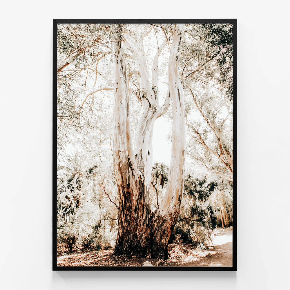 Towering Gum
