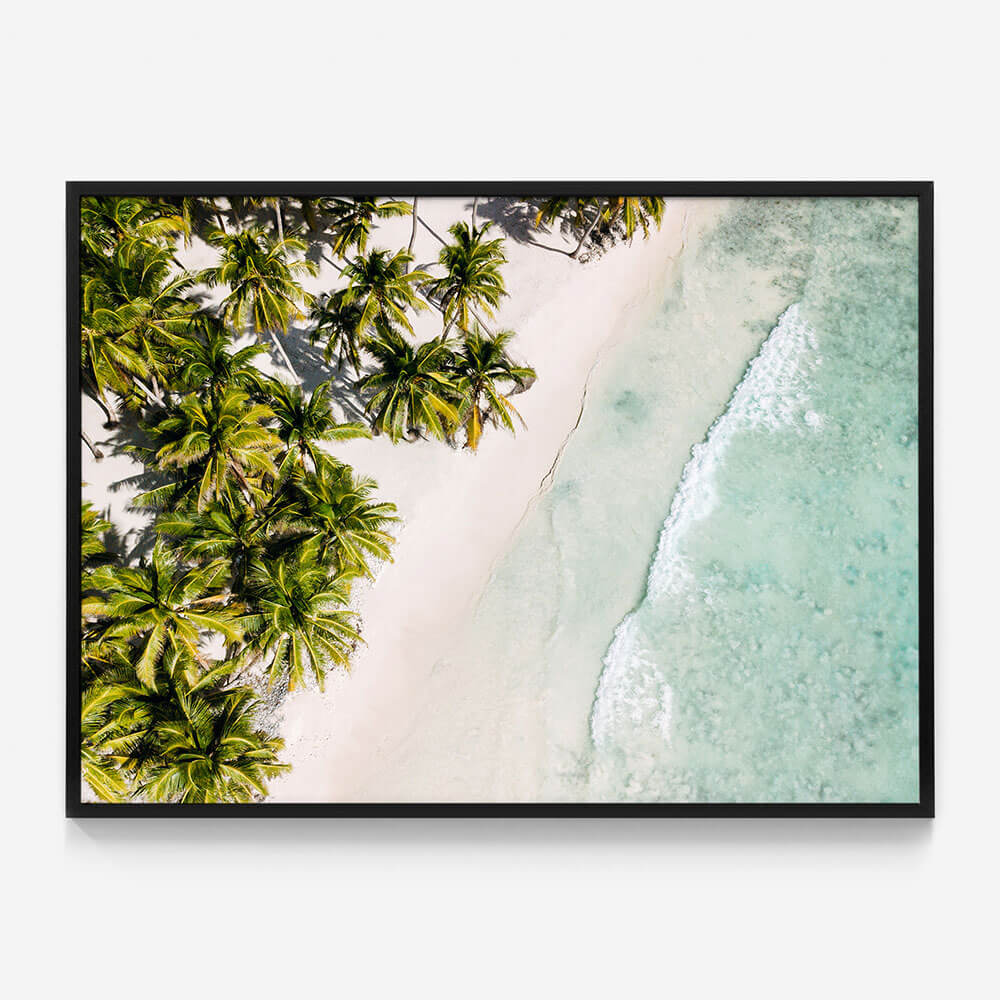 Tropic Coast