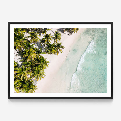 Tropic Coast
