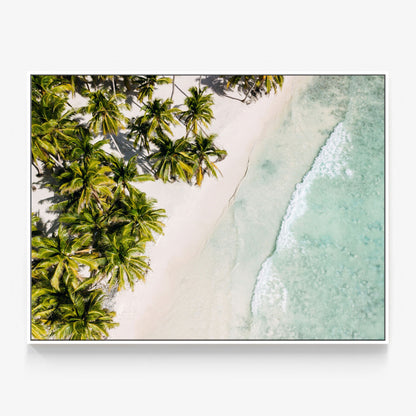 Tropic Coast Canvas