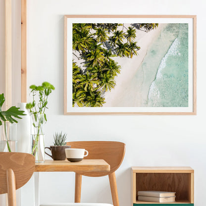 Tropic Coast
