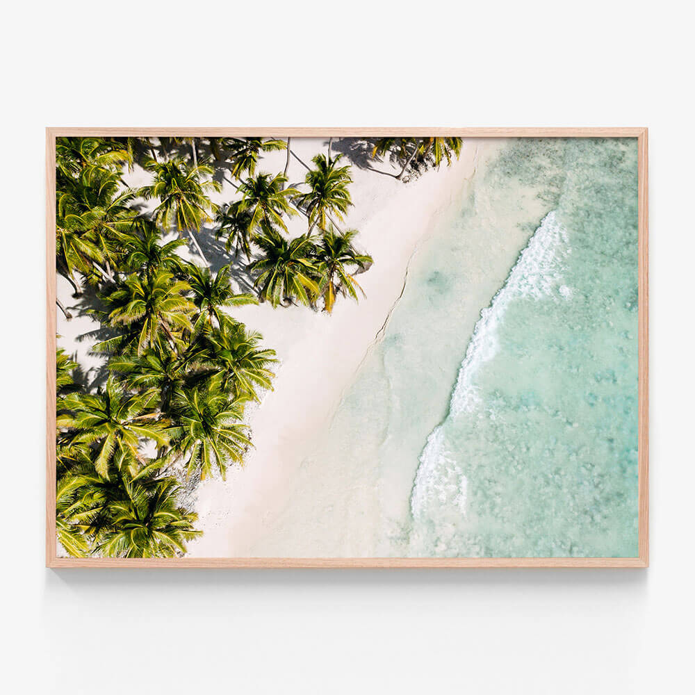 Tropic Coast