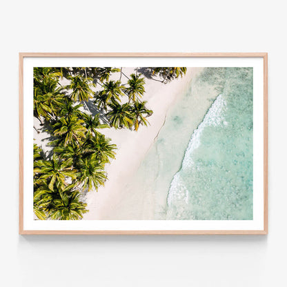 Tropic Coast