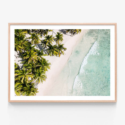 Tropic Coast