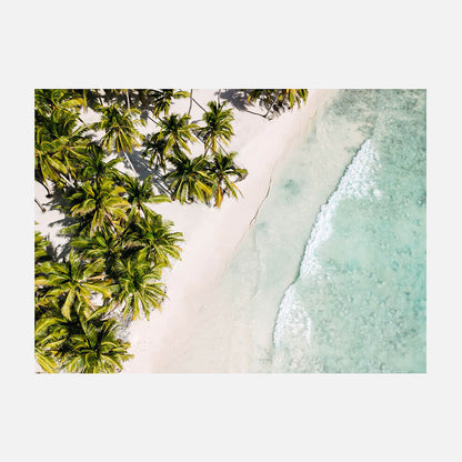 Tropic Coast