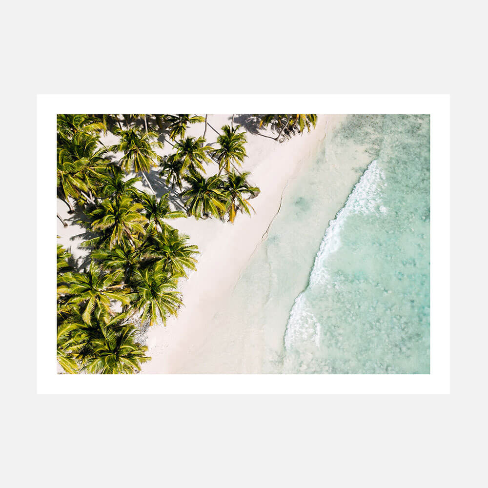 Tropic Coast