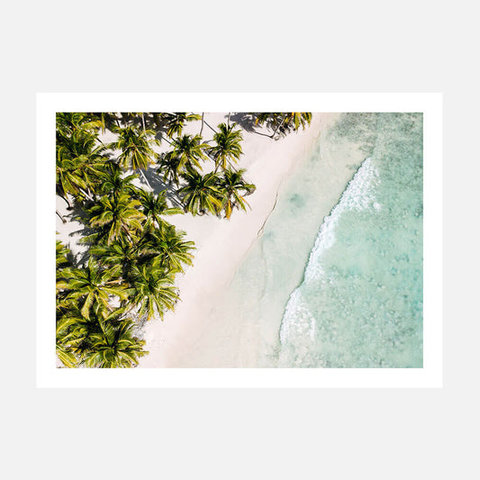 Tropic Coast