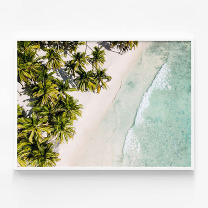 Tropic Coast