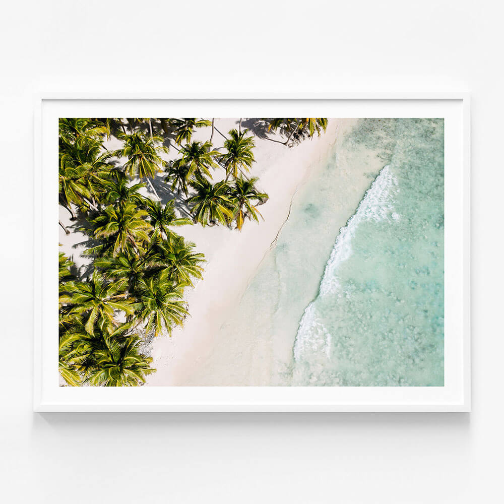Tropic Coast