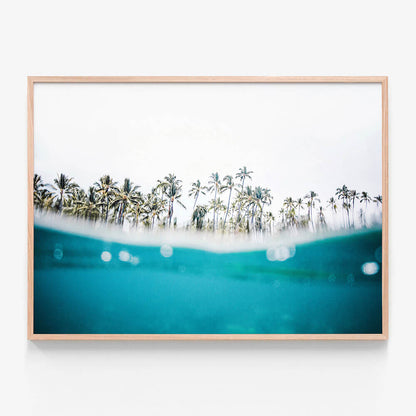 Tropic Island
