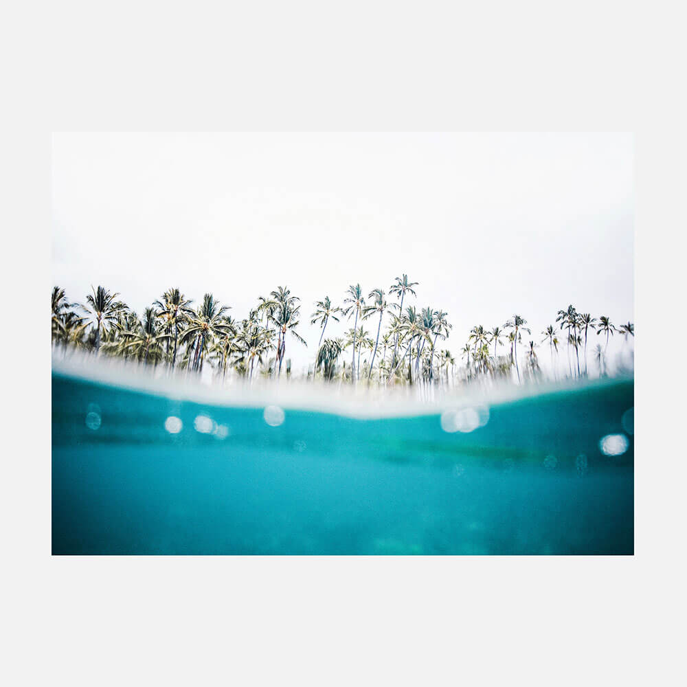 Tropic Island