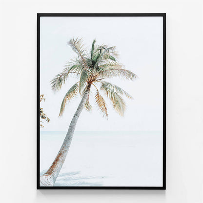 Tropical Beach