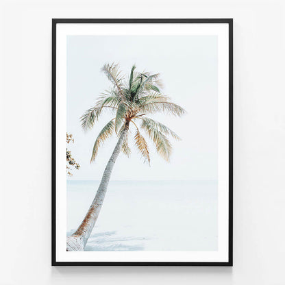 Tropical Beach