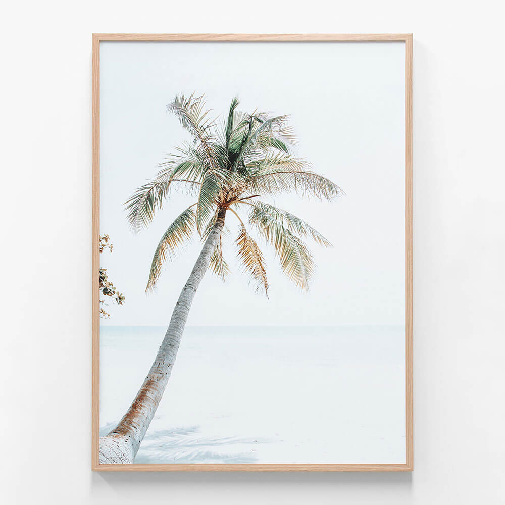 Tropical Beach