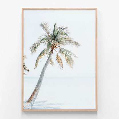 Tropical Beach