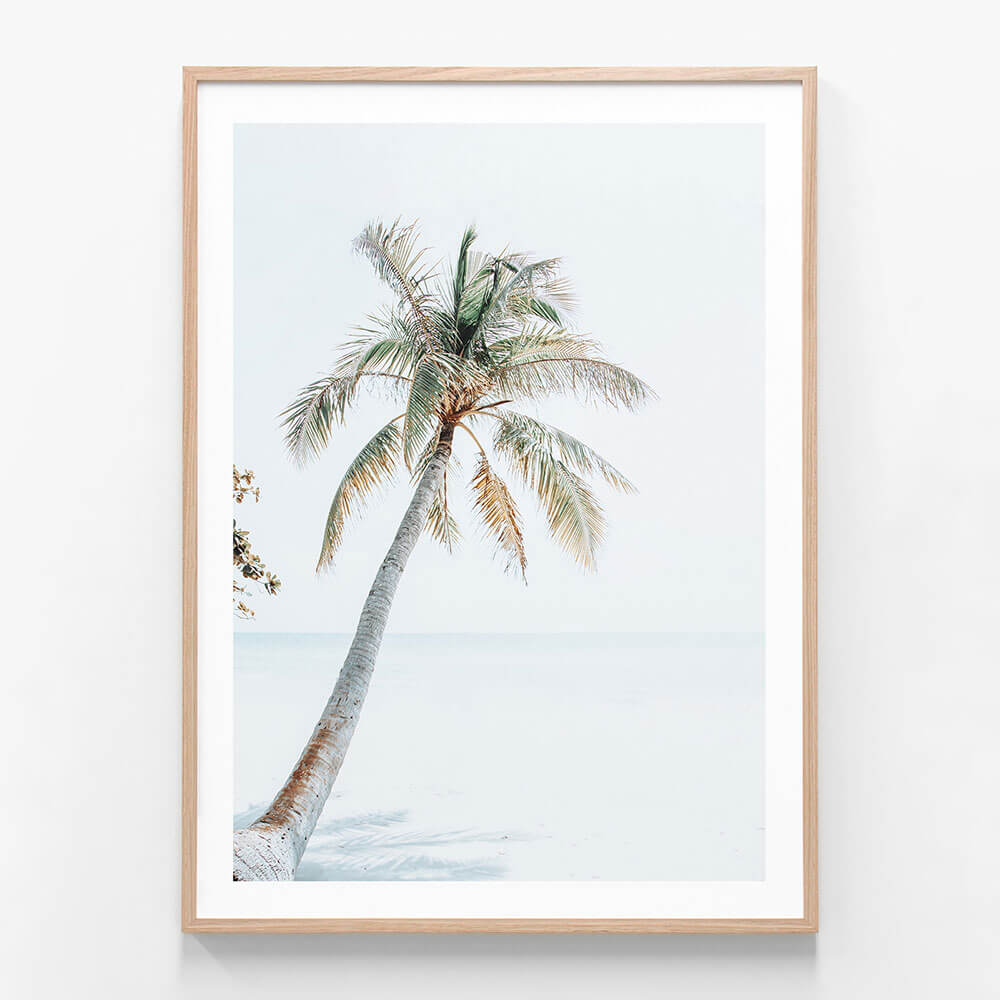A framed photo wall art print featuring a palm tree on a Tropical Beach