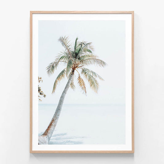 A framed photo wall art print featuring a palm tree on a Tropical Beach
