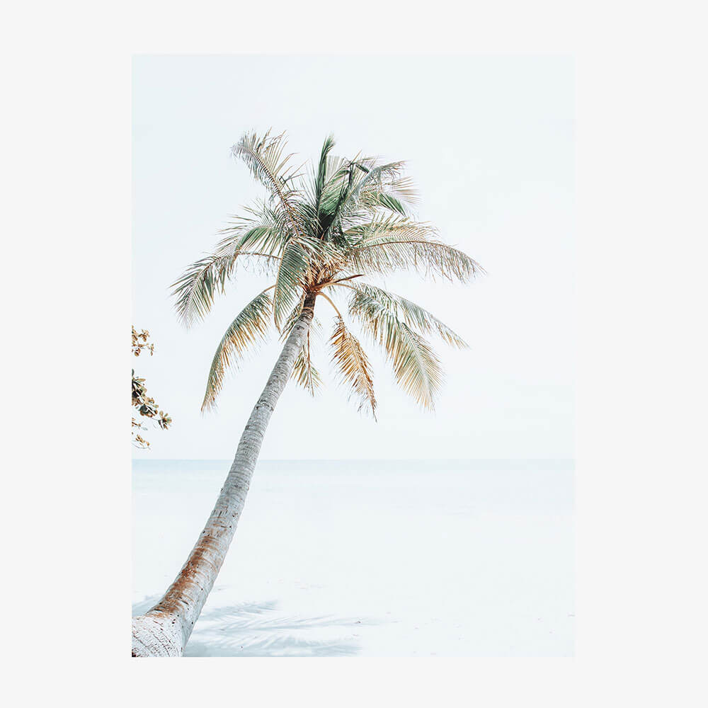 Tropical Beach