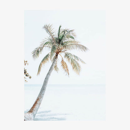 Tropical Beach