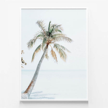 Tropical Beach
