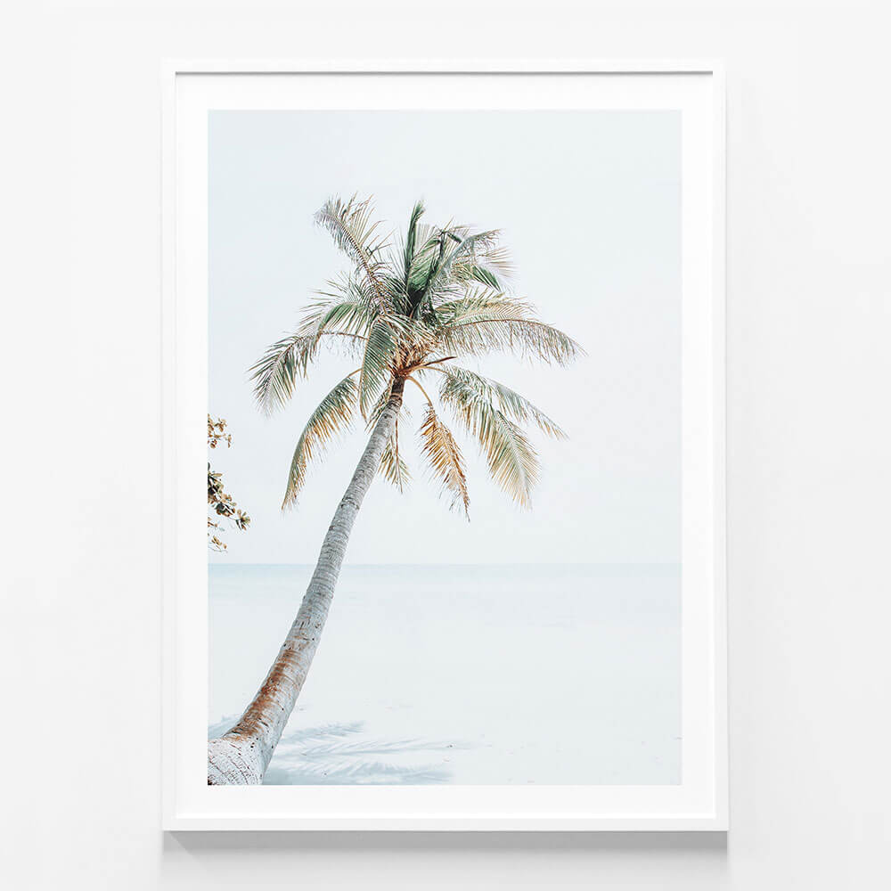 Tropical Beach
