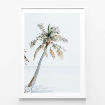 Tropical Beach