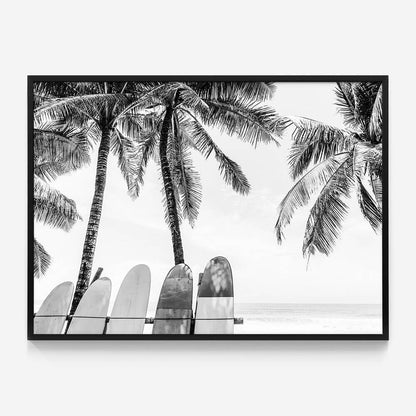 Tropical Boards B&W