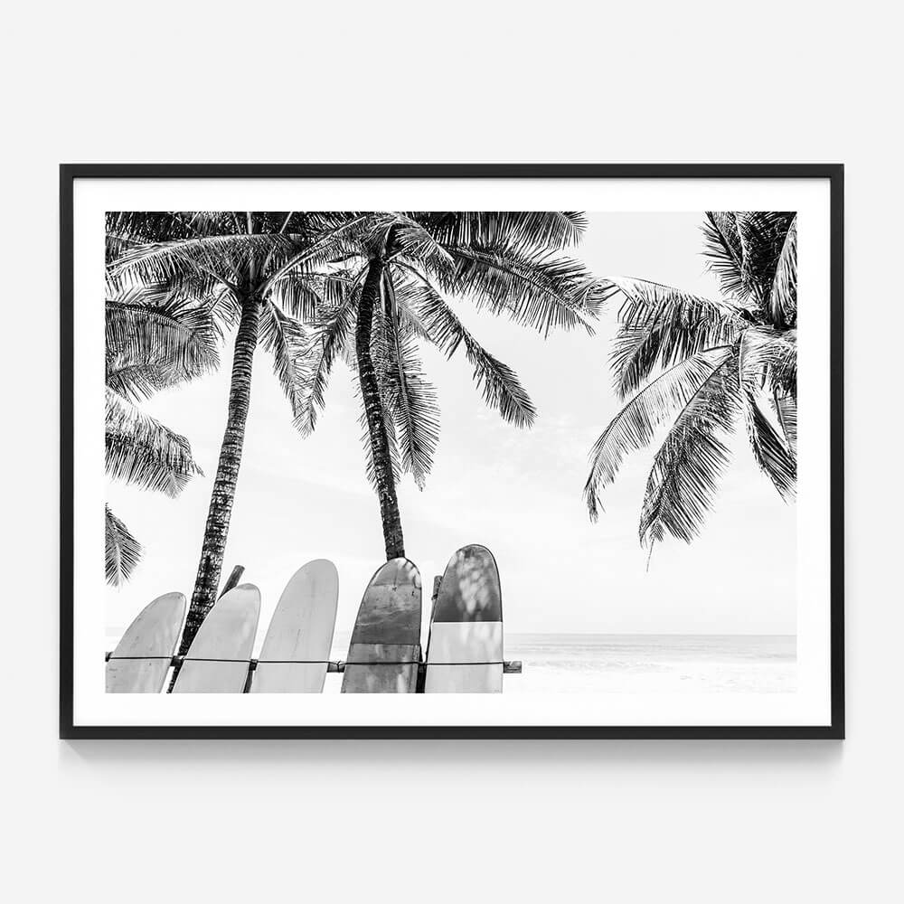 Tropical Boards B&W