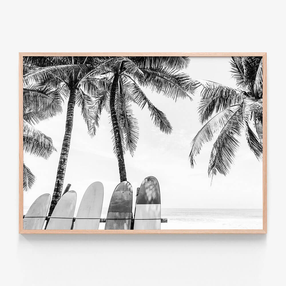 Tropical Boards B&W