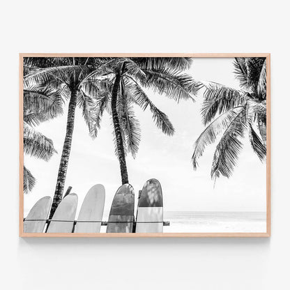 Tropical Boards B&W