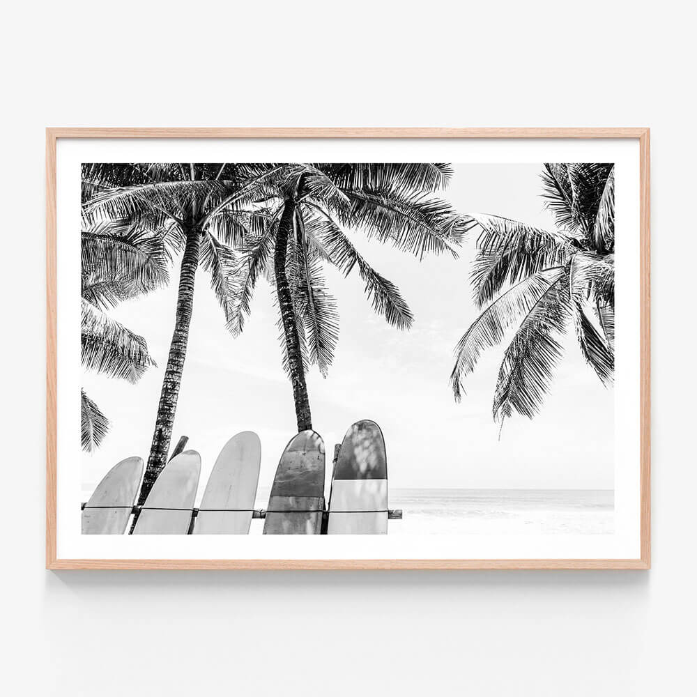 Tropical Boards B&W
