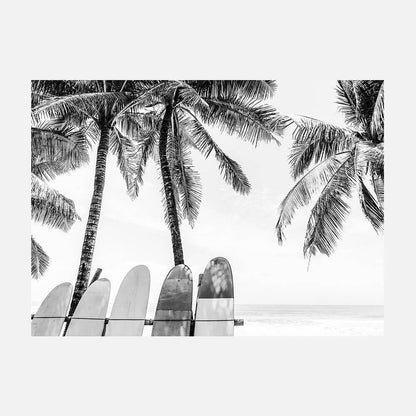Tropical Boards B&W