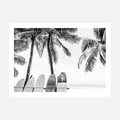 Tropical Boards B&W