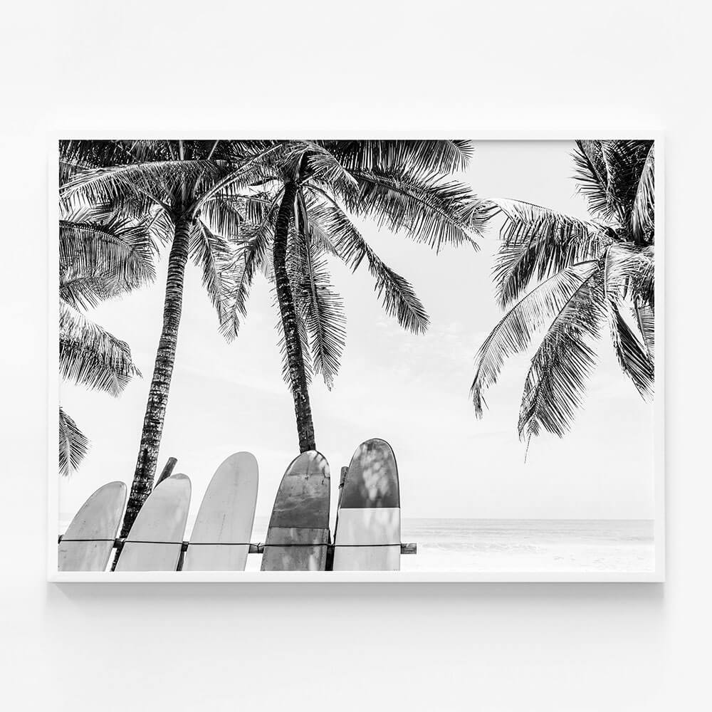 Tropical Boards B&W