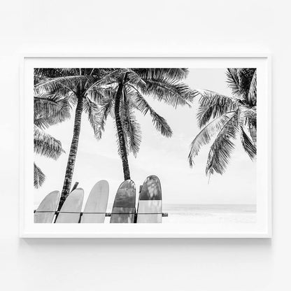 Tropical Boards B&W